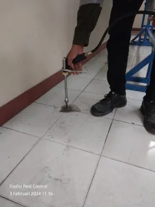 WhatsApp Image 2024-02-06 at 07.29.03