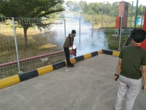 WhatsApp Image 2024-08-17 at 11.00.12